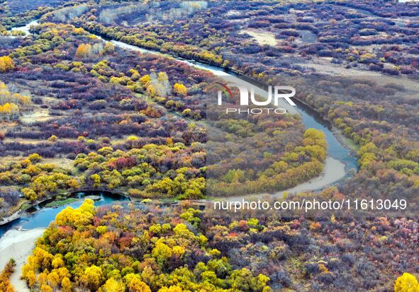 An aerial photo shows the scenery of Erguna wetland in Hulunbuir, China, on September 27, 2024. 