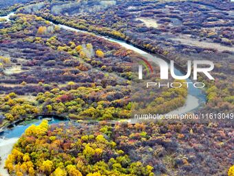 An aerial photo shows the scenery of Erguna wetland in Hulunbuir, China, on September 27, 2024. (