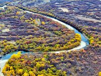 An aerial photo shows the scenery of Erguna wetland in Hulunbuir, China, on September 27, 2024. (