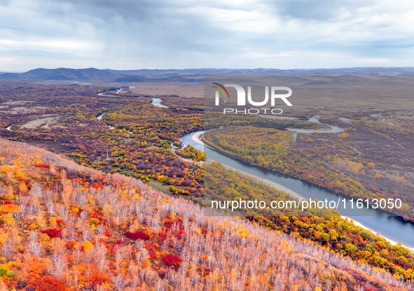 An aerial photo shows the scenery of Erguna wetland in Hulunbuir, China, on September 27, 2024. 