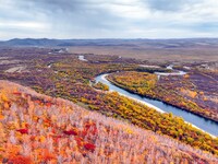 An aerial photo shows the scenery of Erguna wetland in Hulunbuir, China, on September 27, 2024. (