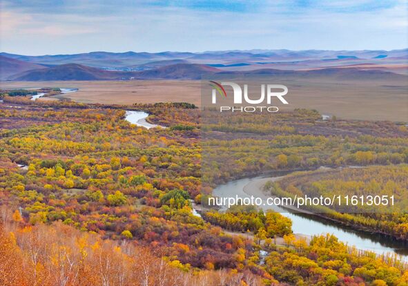 An aerial photo shows the scenery of Erguna wetland in Hulunbuir, China, on September 27, 2024. 