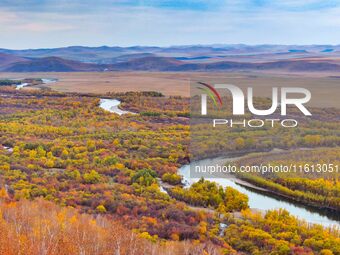 An aerial photo shows the scenery of Erguna wetland in Hulunbuir, China, on September 27, 2024. (