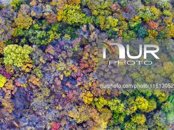 An aerial photo shows the scenery of Erguna wetland in Hulunbuir, China, on September 27, 2024. (