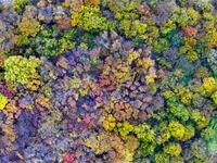 An aerial photo shows the scenery of Erguna wetland in Hulunbuir, China, on September 27, 2024. (