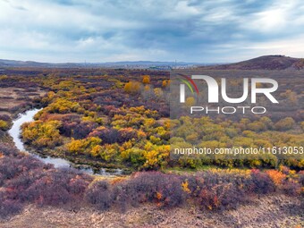 An aerial photo shows the scenery of Erguna wetland in Hulunbuir, China, on September 27, 2024. (