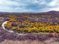 An aerial photo shows the scenery of Erguna wetland in Hulunbuir, China, on September 27, 2024. (