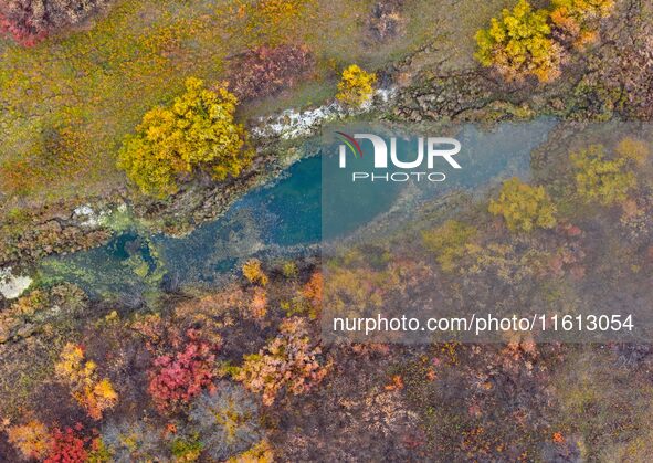 An aerial photo shows the scenery of Erguna wetland in Hulunbuir, China, on September 27, 2024. 