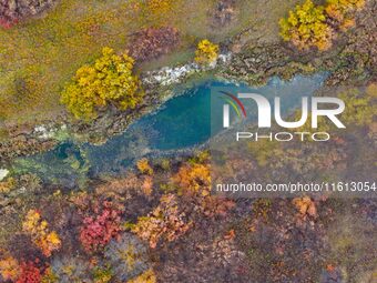 An aerial photo shows the scenery of Erguna wetland in Hulunbuir, China, on September 27, 2024. (