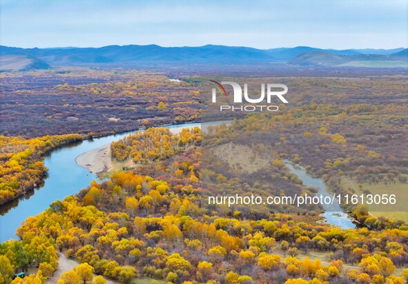 An aerial photo shows the scenery of Erguna wetland in Hulunbuir, China, on September 27, 2024. 