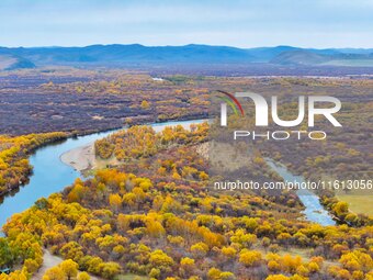 An aerial photo shows the scenery of Erguna wetland in Hulunbuir, China, on September 27, 2024. (