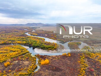 An aerial photo shows the scenery of Erguna wetland in Hulunbuir, China, on September 27, 2024. (