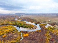 An aerial photo shows the scenery of Erguna wetland in Hulunbuir, China, on September 27, 2024. (