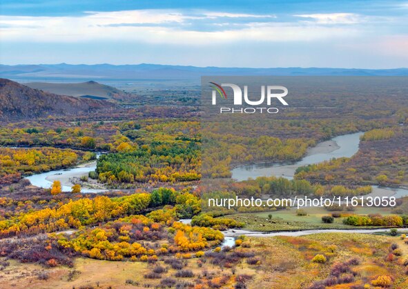 An aerial photo shows the scenery of Erguna wetland in Hulunbuir, China, on September 27, 2024. 