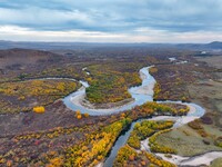 An aerial photo shows the scenery of Erguna wetland in Hulunbuir, China, on September 27, 2024. (