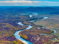 An aerial photo shows the scenery of Erguna wetland in Hulunbuir, China, on September 27, 2024. (