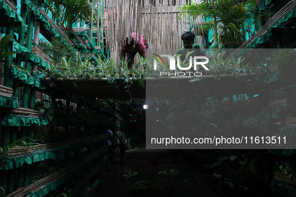 Artisans decorate a pandal with eight thousand natural plants to raise awareness about global deforestation, climate change, the importance...