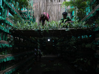 Artisans decorate a pandal with eight thousand natural plants to raise awareness about global deforestation, climate change, the importance...