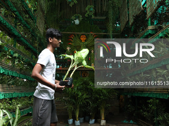 An artisan decorates a pandal with eight thousand natural plants to raise awareness about global deforestation, climate change, the importan...