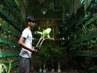 An artisan decorates a pandal with eight thousand natural plants to raise awareness about global deforestation, climate change, the importan...