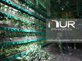 An artisan decorates a pandal with eight thousand natural plants to raise awareness about global deforestation, climate change, the importan...