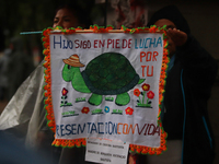 A person takes part in a protest in support of the parents of the rural student victims to demand justice during the 10th anniversary of the...