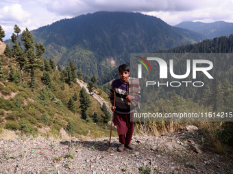 Iqbal, 14, stands with a flock of sheep in Kupwara, Jammu and Kashmir, India, on September 27, 2024. (