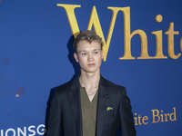 Orlando Schwerdt attends Lionsgate's ''White Bird'' New York screening at DGA Theater in New York, USA, on September 26, 2024. (