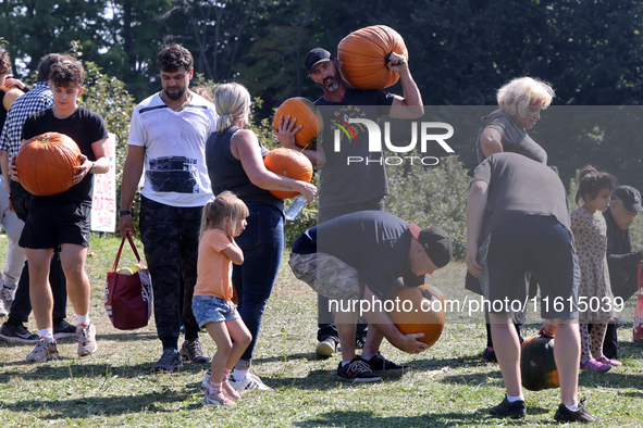 People carry freshly picked pumpkins from a pumpkin patch at a farm in Stouffville, Ontario, Canada, on September 22, 2024. 