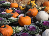 Pumpkins are displayed at a farm in Stouffville, Ontario, Canada, on September 22, 2024. (