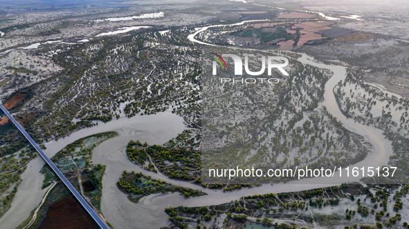 The Populus euphratica forest wetland lies on both sides of the Tarim River Bridge along the desert highway in Bazhou, Xinjiang province, Ch...