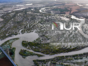 The Populus euphratica forest wetland lies on both sides of the Tarim River Bridge along the desert highway in Bazhou, Xinjiang province, Ch...