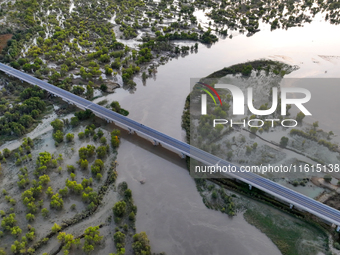 The Populus euphratica forest wetland lies on both sides of the Tarim River Bridge along the desert highway in Bazhou, Xinjiang province, Ch...