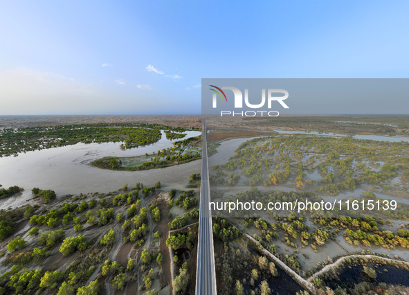 The Populus euphratica forest wetland lies on both sides of the Tarim River Bridge along the desert highway in Bazhou, Xinjiang province, Ch...