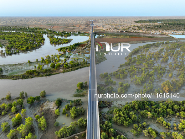 The Populus euphratica forest wetland lies on both sides of the Tarim River Bridge along the desert highway in Bazhou, Xinjiang province, Ch...