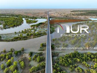 The Populus euphratica forest wetland lies on both sides of the Tarim River Bridge along the desert highway in Bazhou, Xinjiang province, Ch...