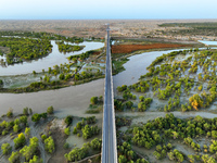 The Populus euphratica forest wetland lies on both sides of the Tarim River Bridge along the desert highway in Bazhou, Xinjiang province, Ch...