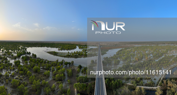 The Populus euphratica forest wetland lies on both sides of the Tarim River Bridge along the desert highway in Bazhou, Xinjiang province, Ch...