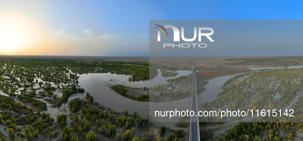 The Populus euphratica forest wetland lies on both sides of the Tarim River Bridge along the desert highway in Bazhou, Xinjiang province, Ch...