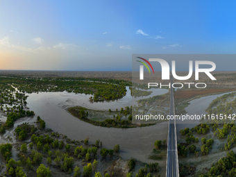 The Populus euphratica forest wetland lies on both sides of the Tarim River Bridge along the desert highway in Bazhou, Xinjiang province, Ch...