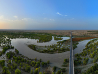 The Populus euphratica forest wetland lies on both sides of the Tarim River Bridge along the desert highway in Bazhou, Xinjiang province, Ch...