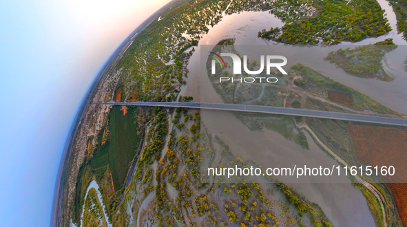 The Populus euphratica forest wetland lies on both sides of the Tarim River Bridge along the desert highway in Bazhou, Xinjiang province, Ch...