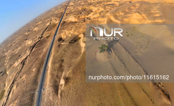 In Bazhou, Xinjiang, China, on September 23, 2024, Desert Highway ''One Tree'' Scenic Spot. 