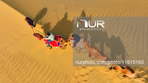 Tourists ride camels to view the scenery of nature in Bazhou, Xinjiang, China, on September 23, 2024. 