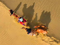 Tourists ride camels to view the scenery of nature in Bazhou, Xinjiang, China, on September 23, 2024. (