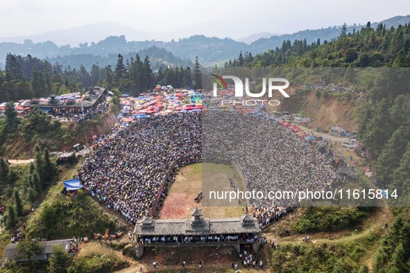 People watch a bullfight at the Songxue bullfight pond in Congjiang county, Southwest China's Guizhou province, on September 28, 2024. 