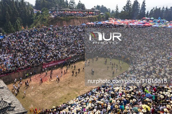 People watch a bullfight at the Songxue bullfight pond in Congjiang county, Southwest China's Guizhou province, on September 28, 2024. 