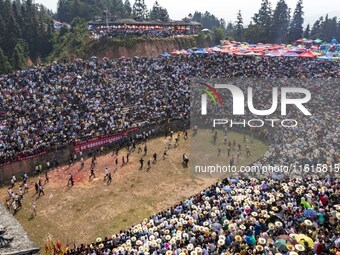 People watch a bullfight at the Songxue bullfight pond in Congjiang county, Southwest China's Guizhou province, on September 28, 2024. (