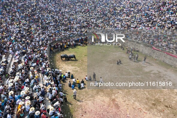 People watch a bullfight at the Songxue bullfight pond in Congjiang county, Southwest China's Guizhou province, on September 28, 2024. 