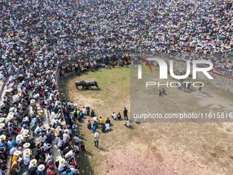 People watch a bullfight at the Songxue bullfight pond in Congjiang county, Southwest China's Guizhou province, on September 28, 2024. (